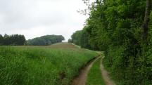  Blick auf die Wanderstrecke 